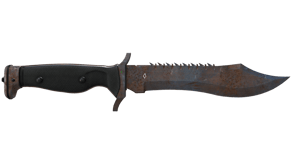 Rust Coat image