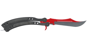 Autotronic image