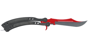 Autotronic image