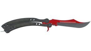 Autotronic image