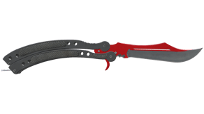 Autotronic image