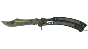 Boreal Forest image
