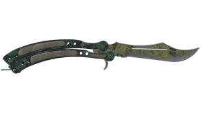 Boreal Forest image