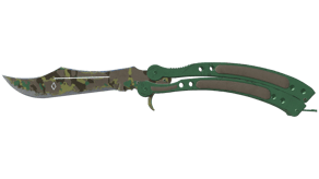 Boreal Forest image