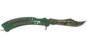 Boreal Forest image