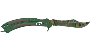 Boreal Forest image