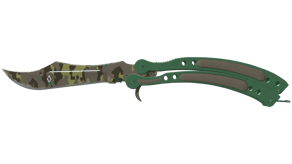 Boreal Forest image