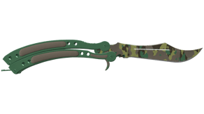 Boreal Forest image