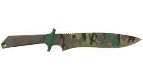 Boreal Forest image