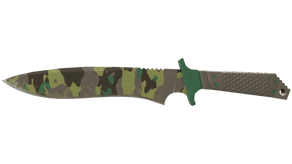 Boreal Forest image