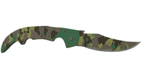 Boreal Forest image