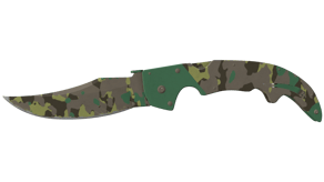 Boreal Forest image