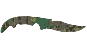 Boreal Forest image