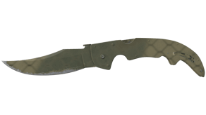Safari Mesh image