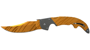 Tiger Tooth image