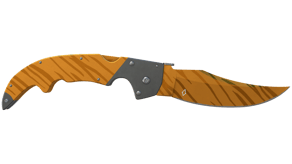Tiger Tooth image