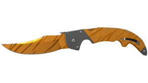 Tiger Tooth image