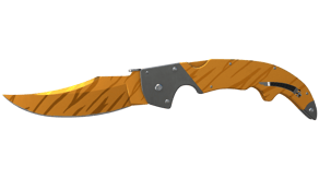 Tiger Tooth image