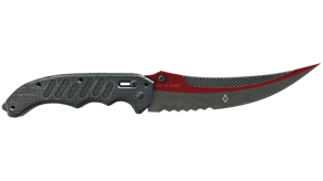 Autotronic image