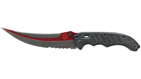 Autotronic image