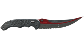 Autotronic image