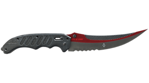 Autotronic image