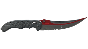 Autotronic image