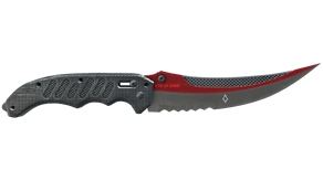 Autotronic image