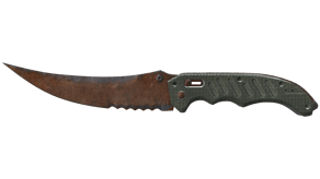 Rust Coat image