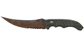 Rust Coat image