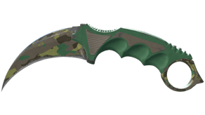 Boreal Forest image