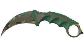Boreal Forest image