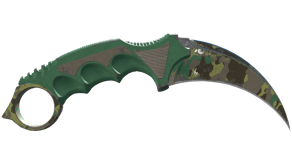 Boreal Forest image