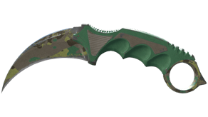 Boreal Forest image