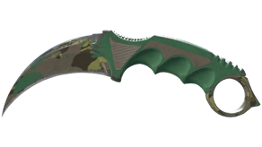 Boreal Forest image