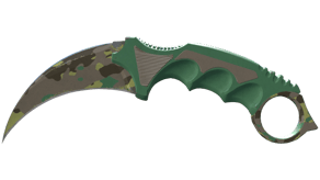 Boreal Forest image