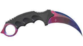 Doppler Phase 1 image