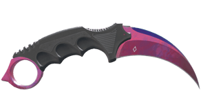 Doppler Phase 2 image