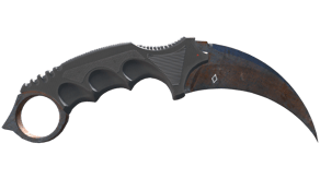 Rust Coat image