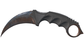 Rust Coat image
