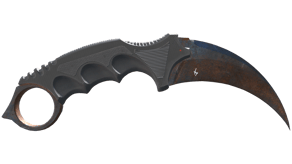 Rust Coat image