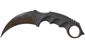 Rust Coat image