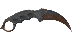 Rust Coat image