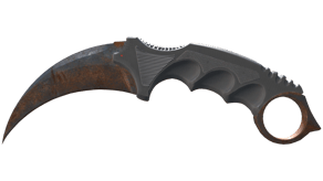 Rust Coat image