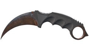 Rust Coat image