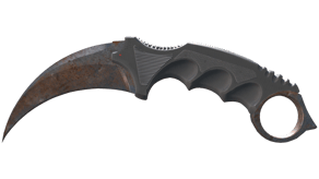 Rust Coat image