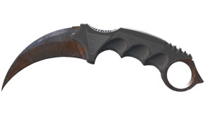 Rust Coat image