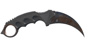 Rust Coat image