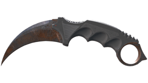 Rust Coat image