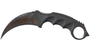 Rust Coat image